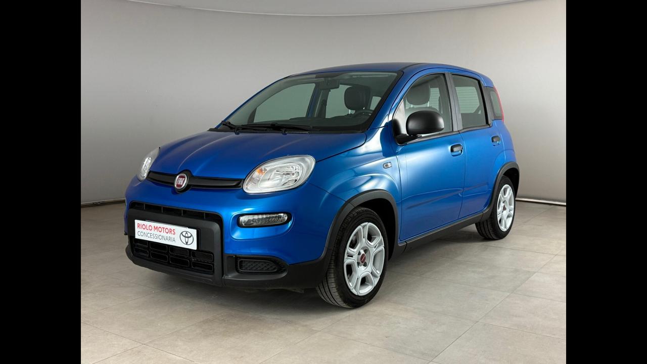 FIAT Panda III 2021 - Panda 1.0 firefly hybrid s&s 70cv