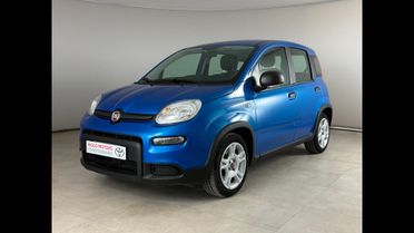 FIAT Panda III 2021 - Panda 1.0 firefly hybrid s&s 70cv