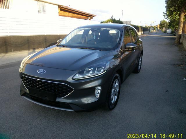 FORD Kuga 1.5 EcoBlue 120 CV aut. 2WD Titanium Business