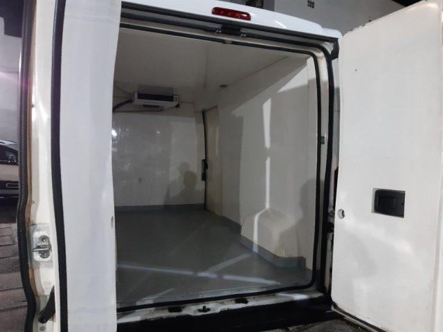 FIAT Ducato 33 2.0 MJT PLM-TM Furgone