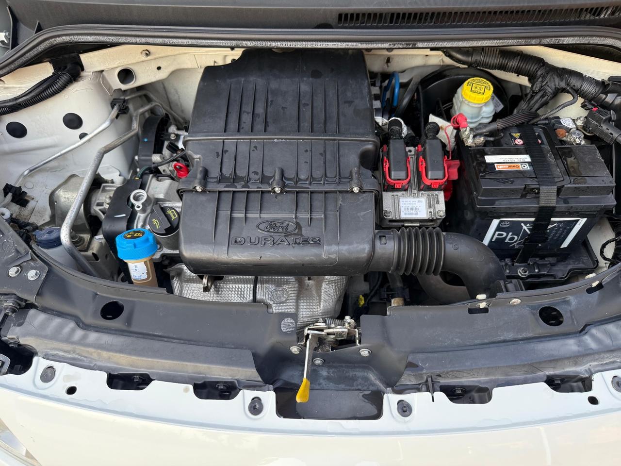 Ford Ka Ka+ 1.2 8V 69CV