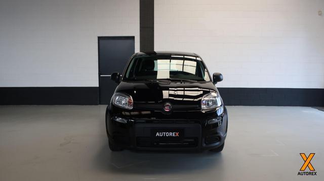 FIAT Panda 1.0 FireFly S&S Hybrid per neopatentati