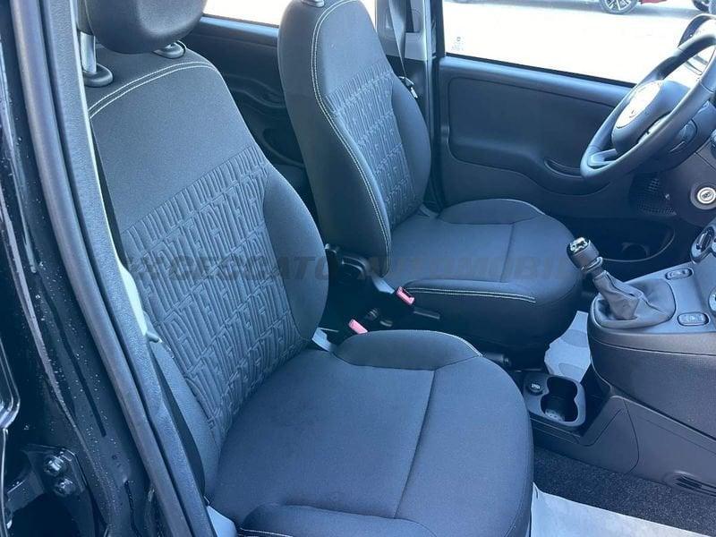 FIAT Pandina Pandina 1.0 65cv Hybrid Icon