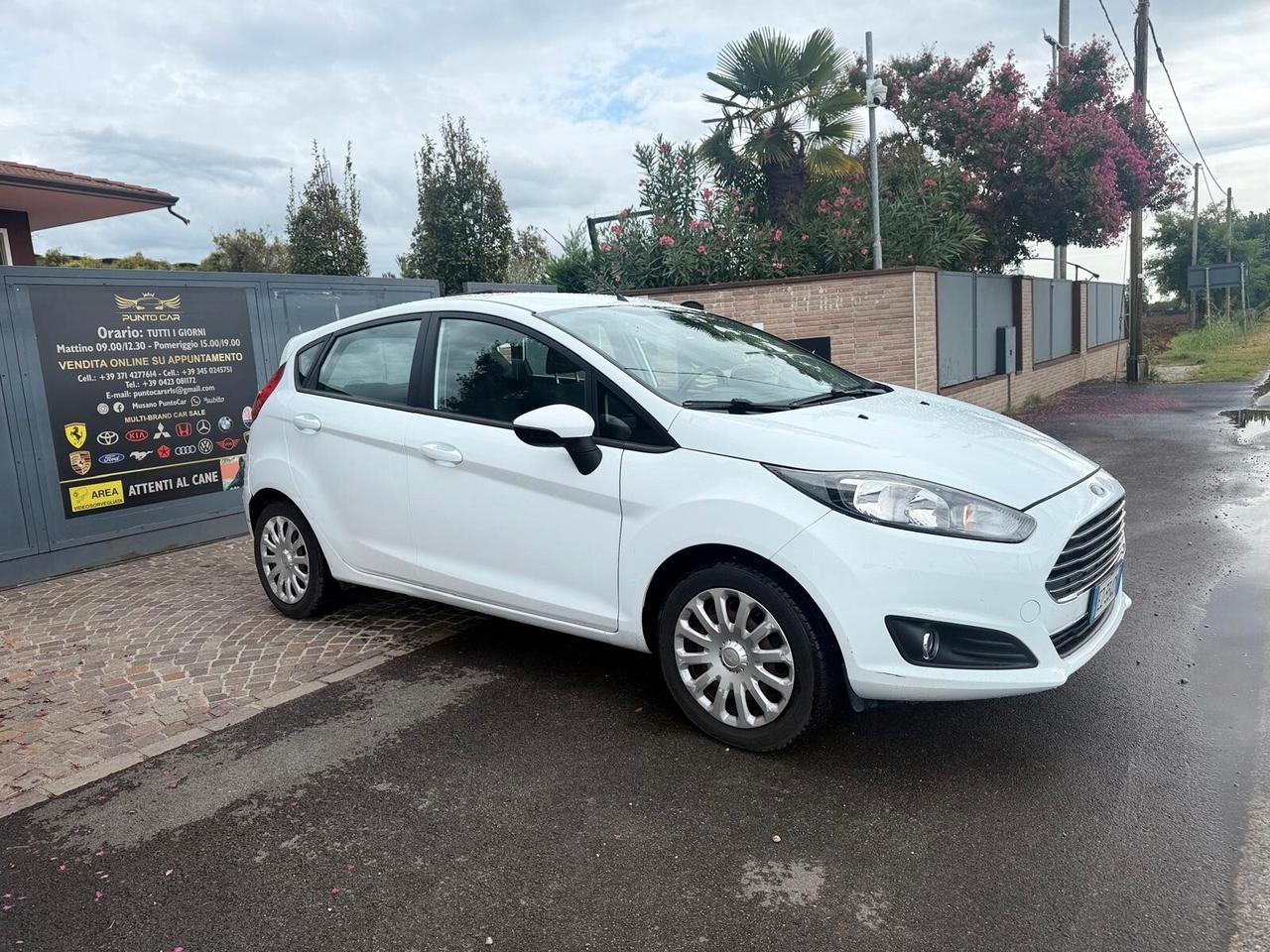 Ford Fiesta 1.5 TDCi 75CV 5 porte Black & White Edition