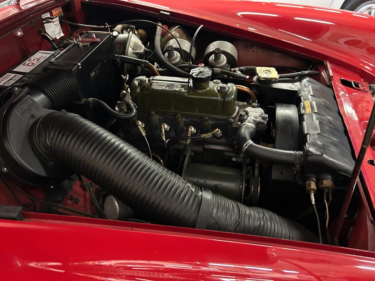 Mg Midget MK 3 TARGA ORO* 1967