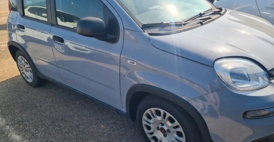 Fiat Panda 1.0 FireFly S&S Hybrid 70cv KM 20'277