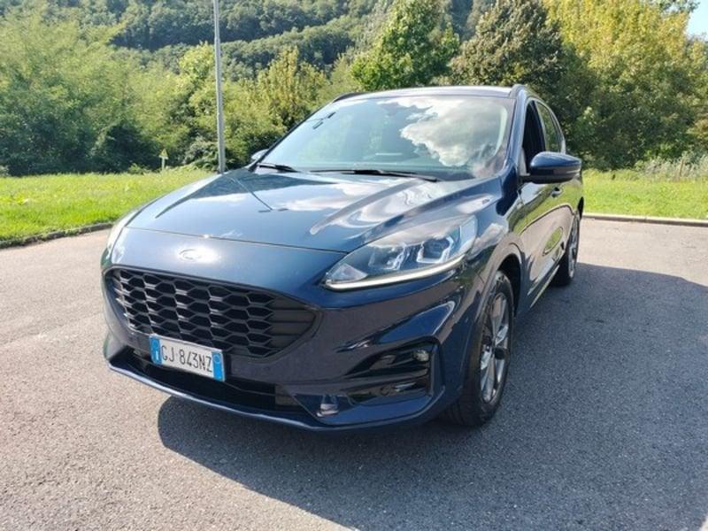 Ford Kuga Kuga 1.5 EcoBlue 120 CV 2WD ST-Line