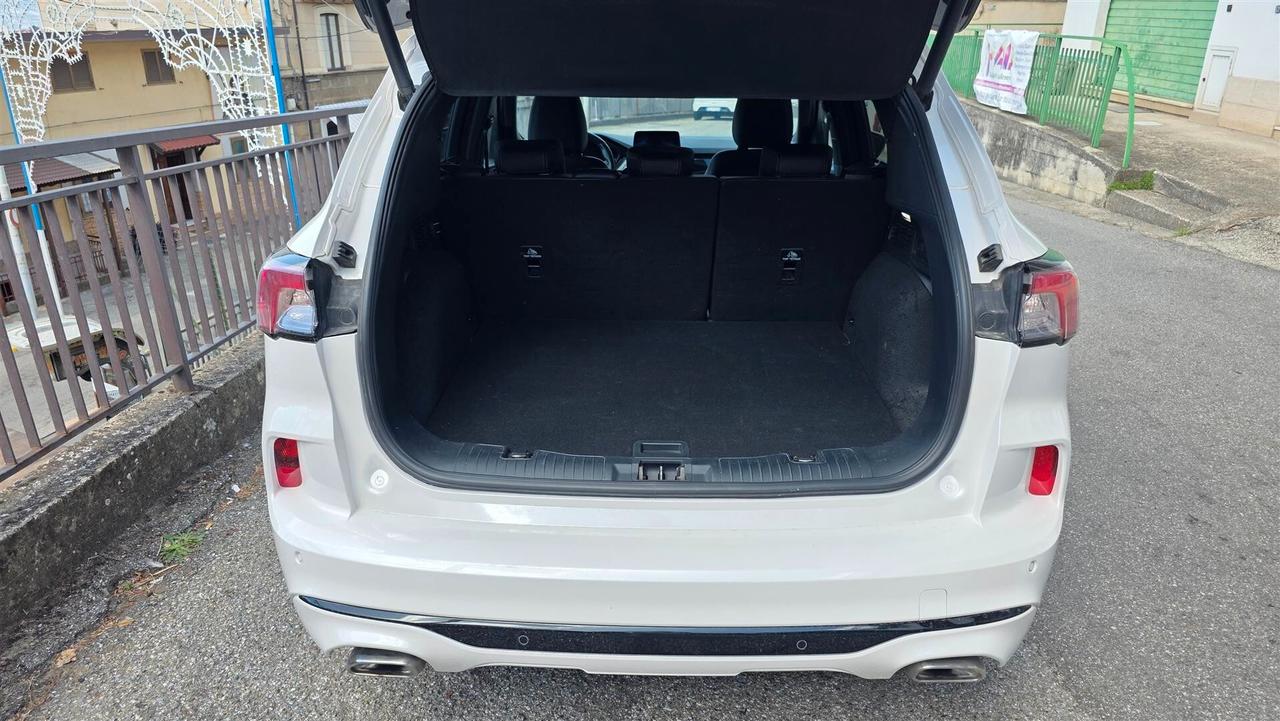Ford Kuga 1.5 EcoBlue 120 CV aut. 2WD ST-Line X