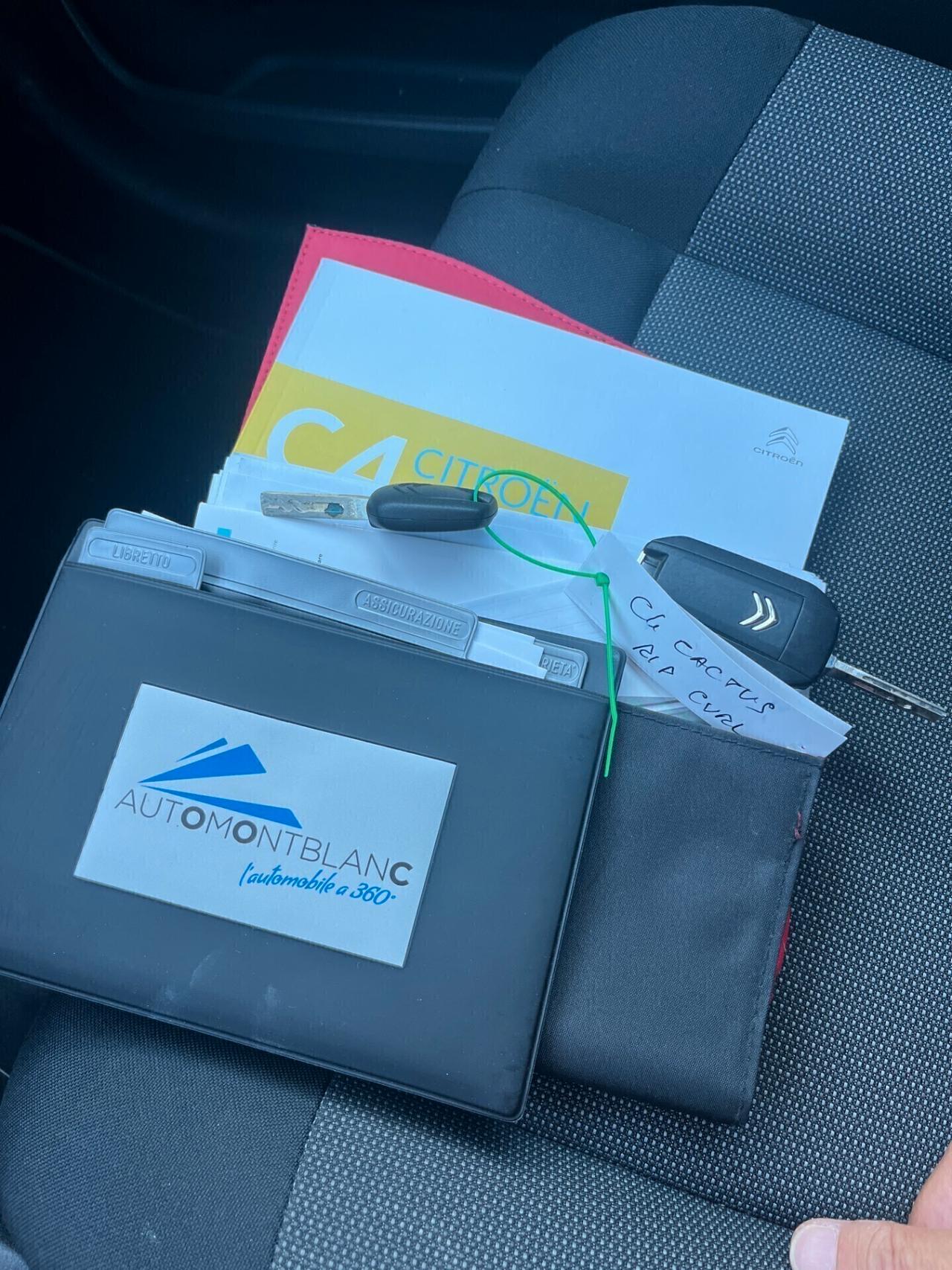 Citroen C4 Cactus BlueHDi 100 Shine Rip Curl EURO 6B