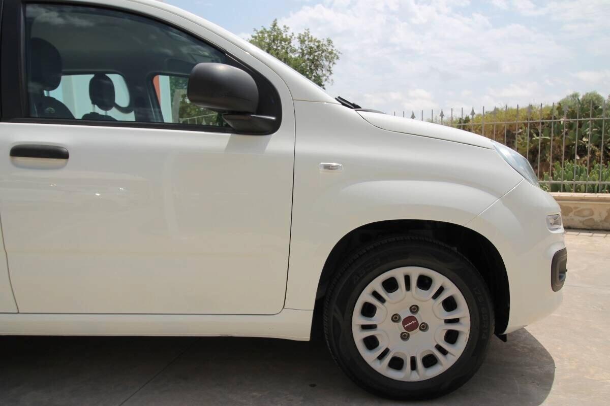 Fiat Panda 1.2 Easy 69cv | 62.000km 11.2019
