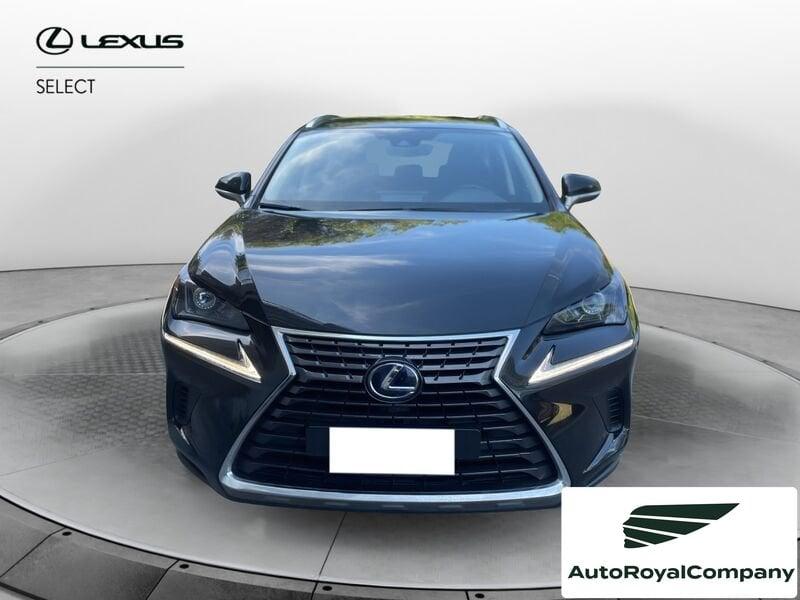 Lexus NX NX Hybrid Business VENDUTA