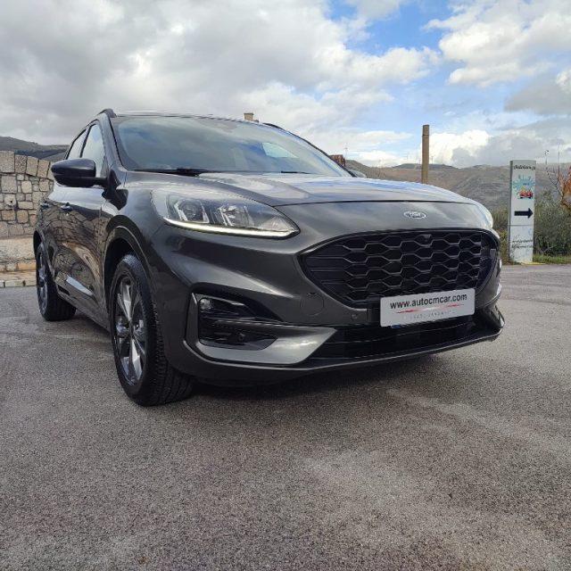 FORD Kuga 1.5 EcoBlue 120 CV aut. 2WD ST-Line