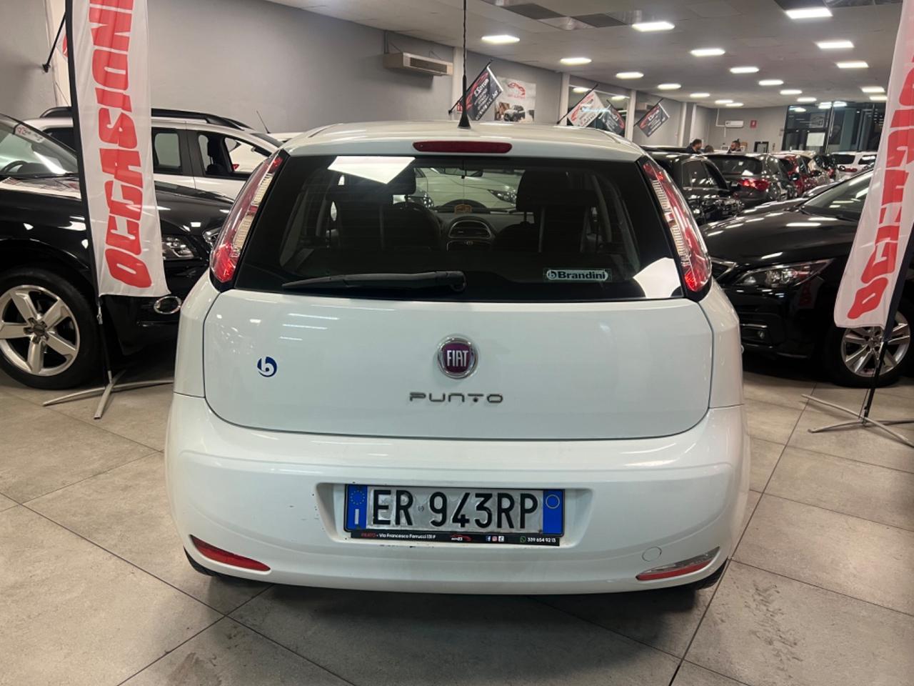 Fiat Punto 1.2 8V 5 porte Lounge 69CV Ok Neopatentati