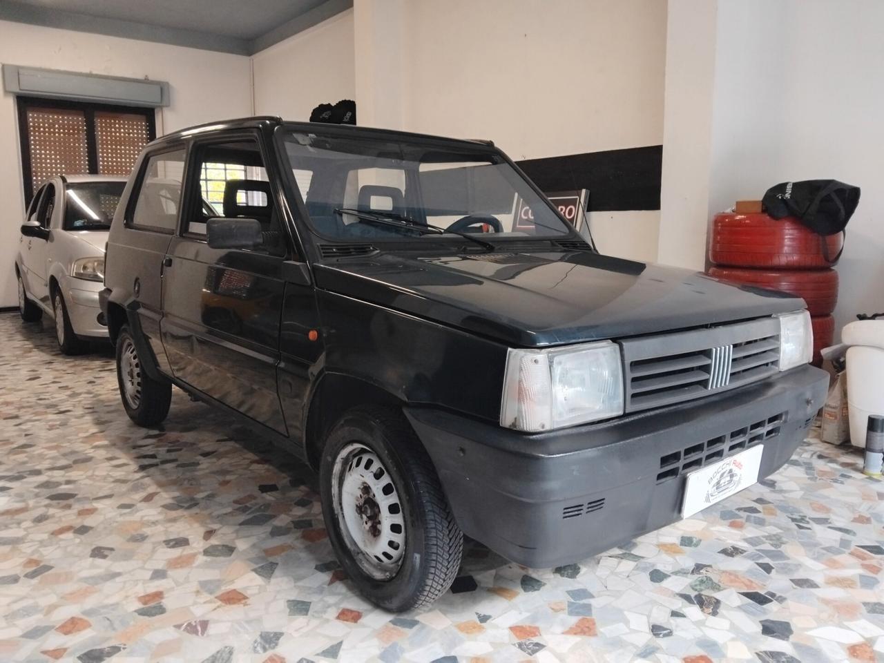 Fiat Panda 900 i.e. cat Young