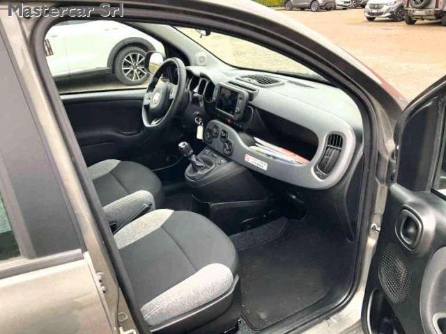 FIAT Panda Panda III 2021 4x4 0.9 t.air t. Wild 4x4 - GK589ZA