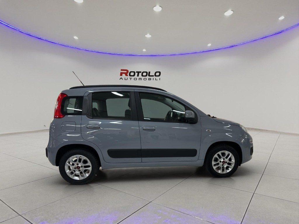 FIAT Panda 3ª serie Panda 1.2 Lounge