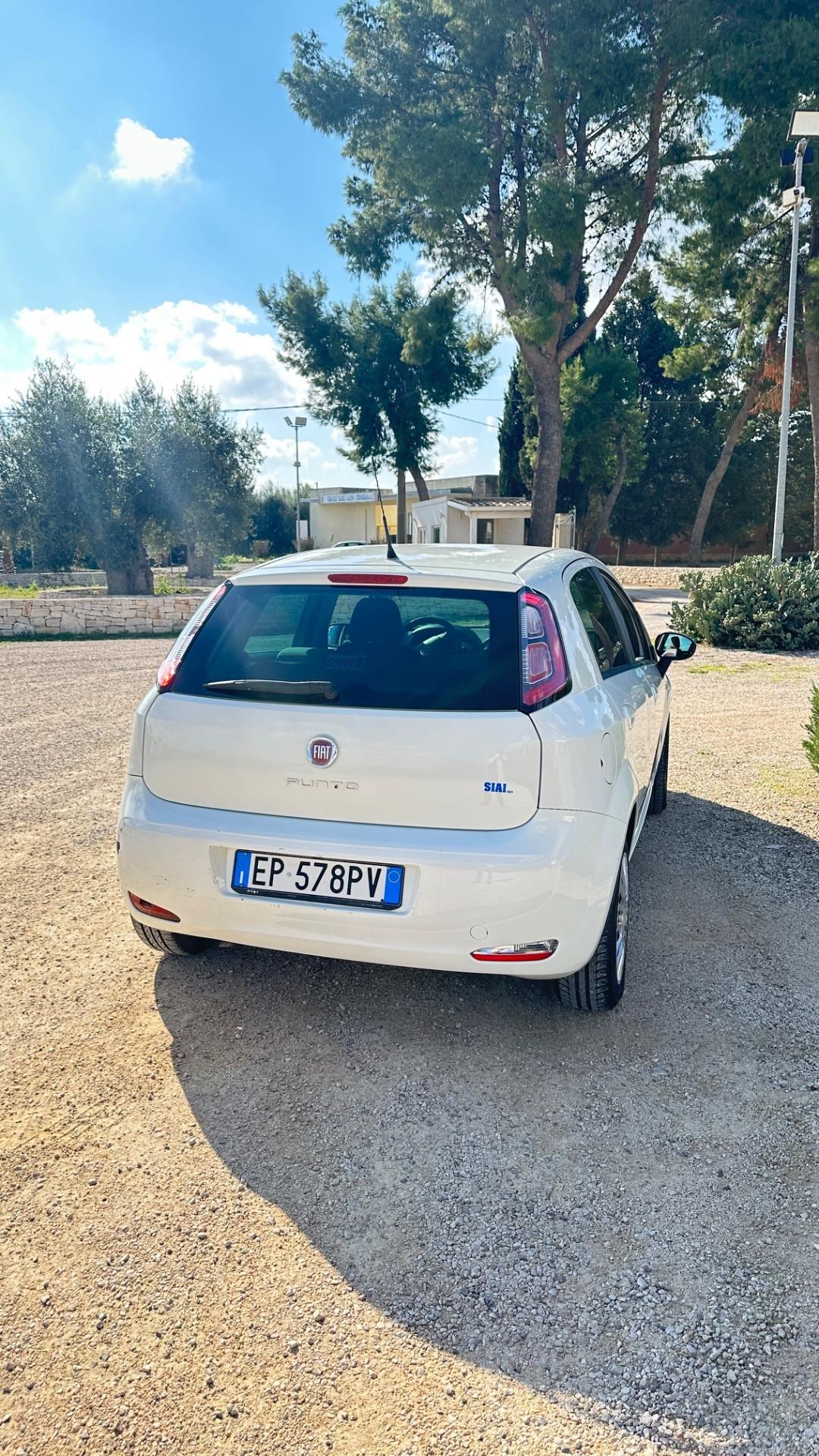 Fiat Punto 1.3 MJT 75CV 5 porte Van Pop 4 posti