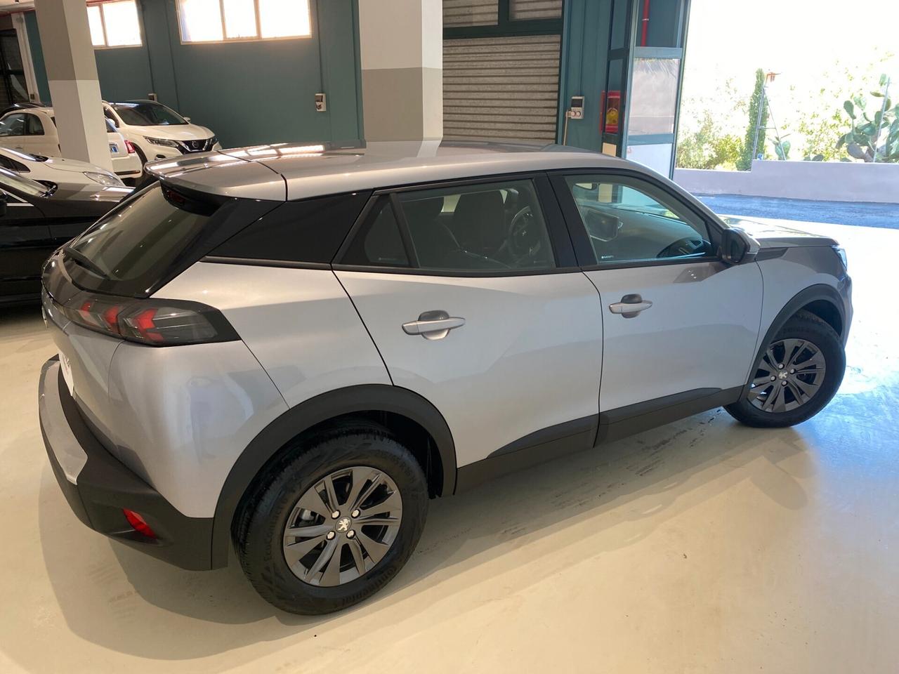 Peugeot 2008 BlueHDi 110 S&S Active