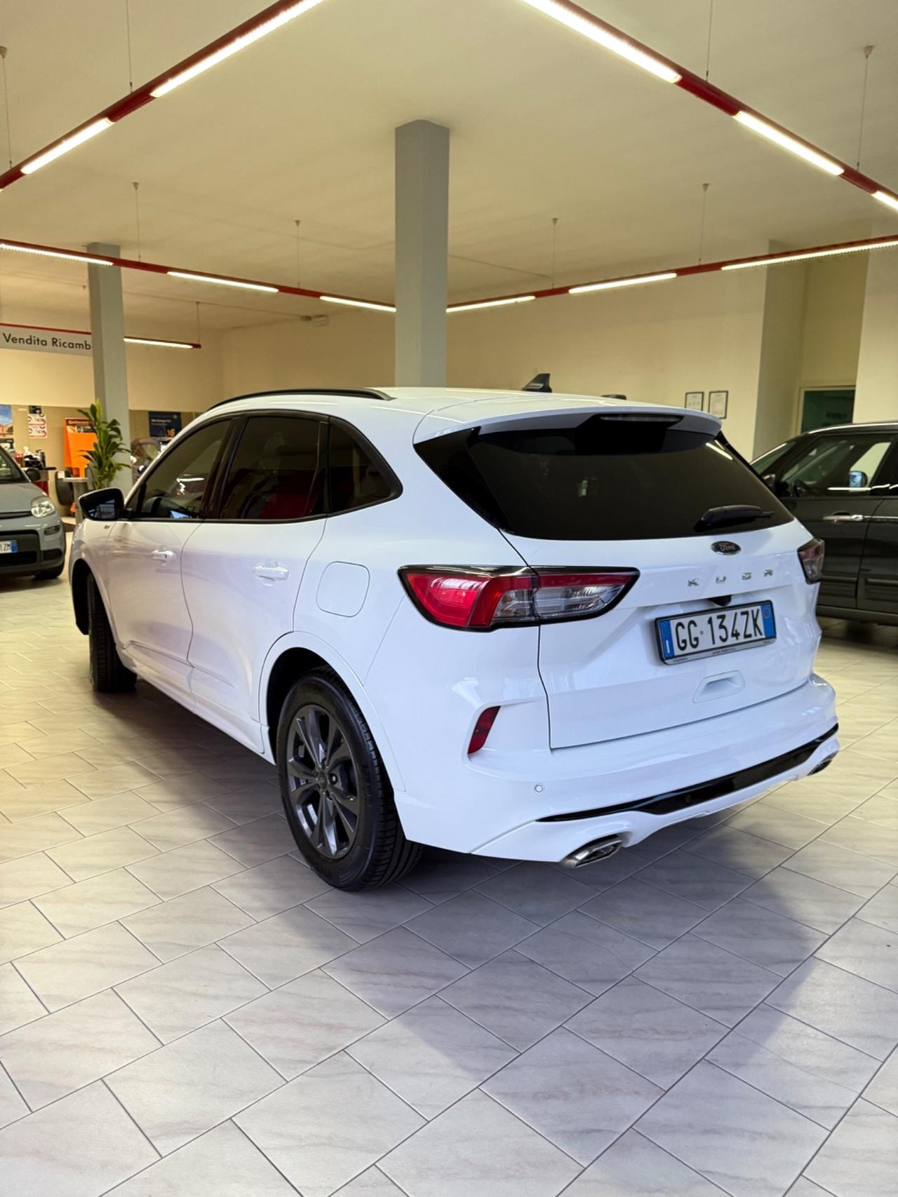 Ford Kuga 1.5 EcoBlue 120 CV aut. 2WD ST-Line X