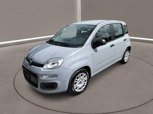 FIAT Panda 3ª serie - 1.0 FireFly S&S Hybrid