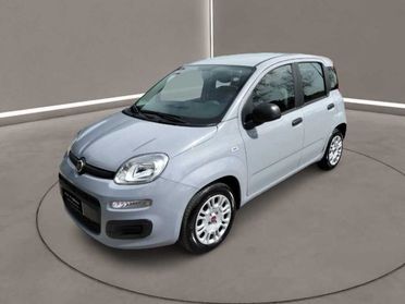 FIAT Panda 3ª serie - 1.0 FireFly S&S Hybrid