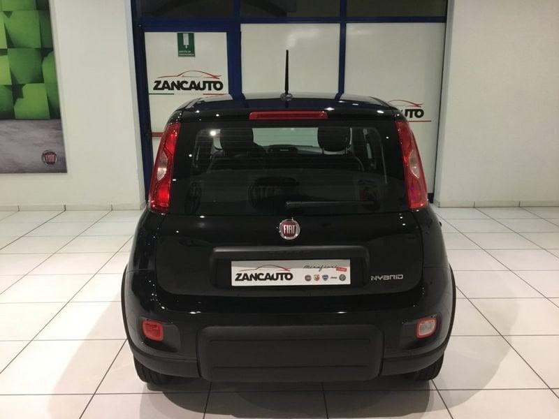 FIAT Panda Panda 1.0 FireFly S&S Hybrid Icon PROMO MESE + TARGA