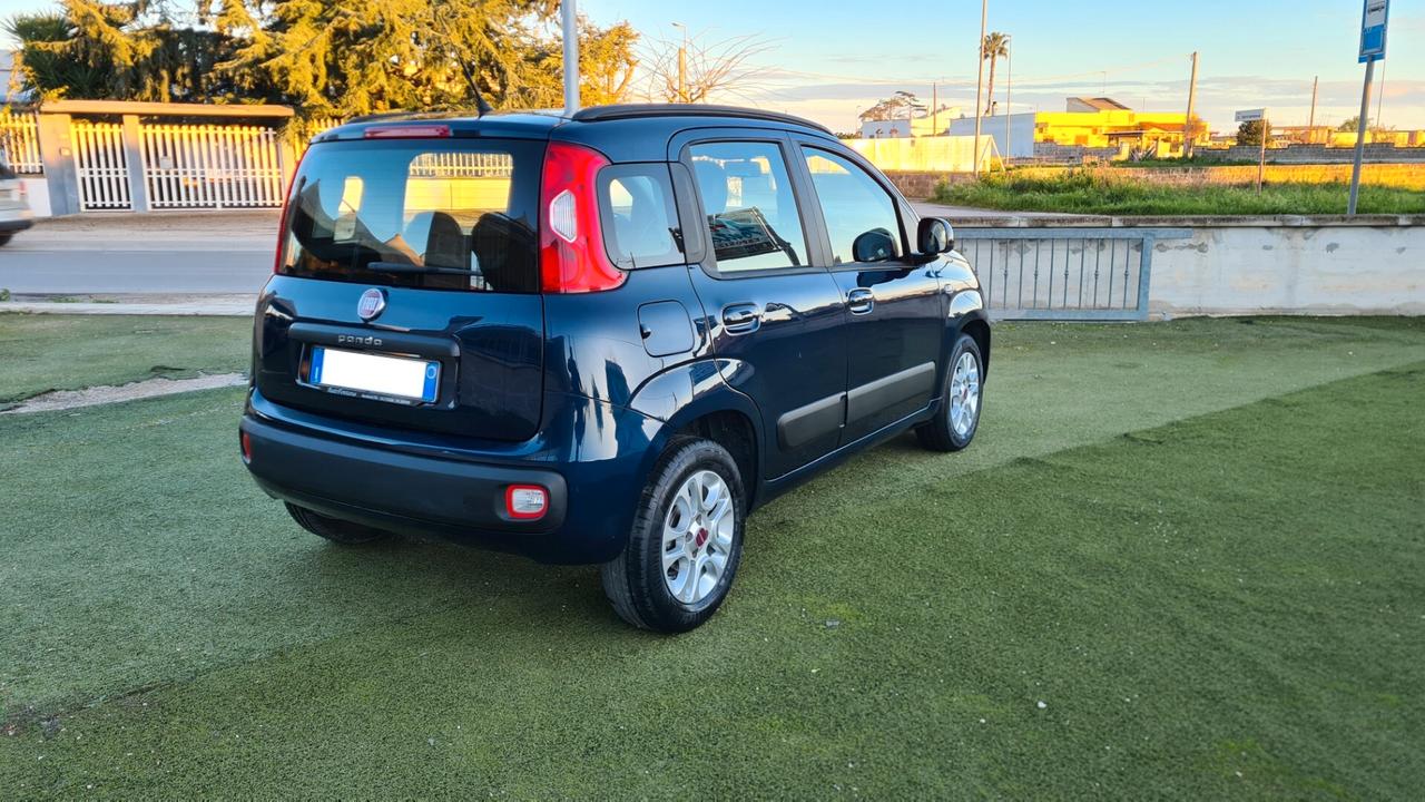Fiat Panda 1.2 benz. 70 cv Lounge 2019 Neopatentati