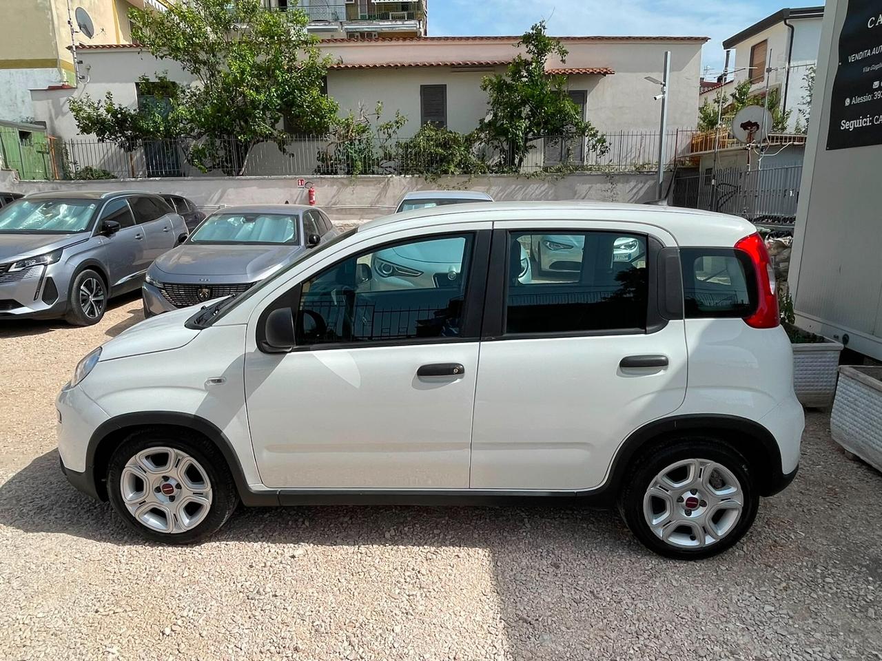 FIAT PANDA 1.0cc 70cv Hybrid S&S