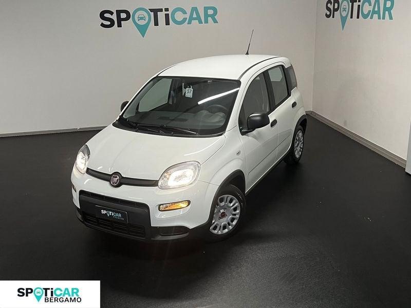 FIAT Panda 1.0 FireFly S&S Hybrid - Km0