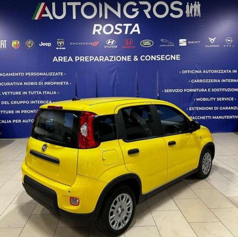 FIAT Panda 1.0 firefly hybrid 70CV s&s NUOVA DA IMMATRICOLARE