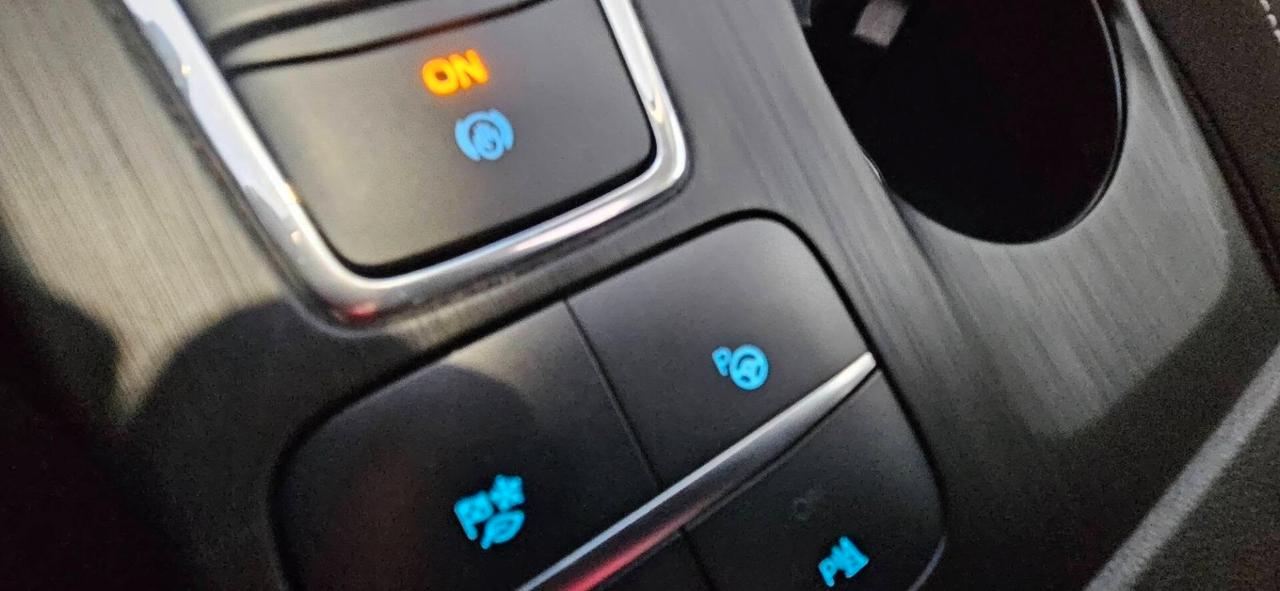 Ford Kuga 2.0 EcoBlue 150 CV aut. AWD Tetto panor. Aprib- Vern. Perla