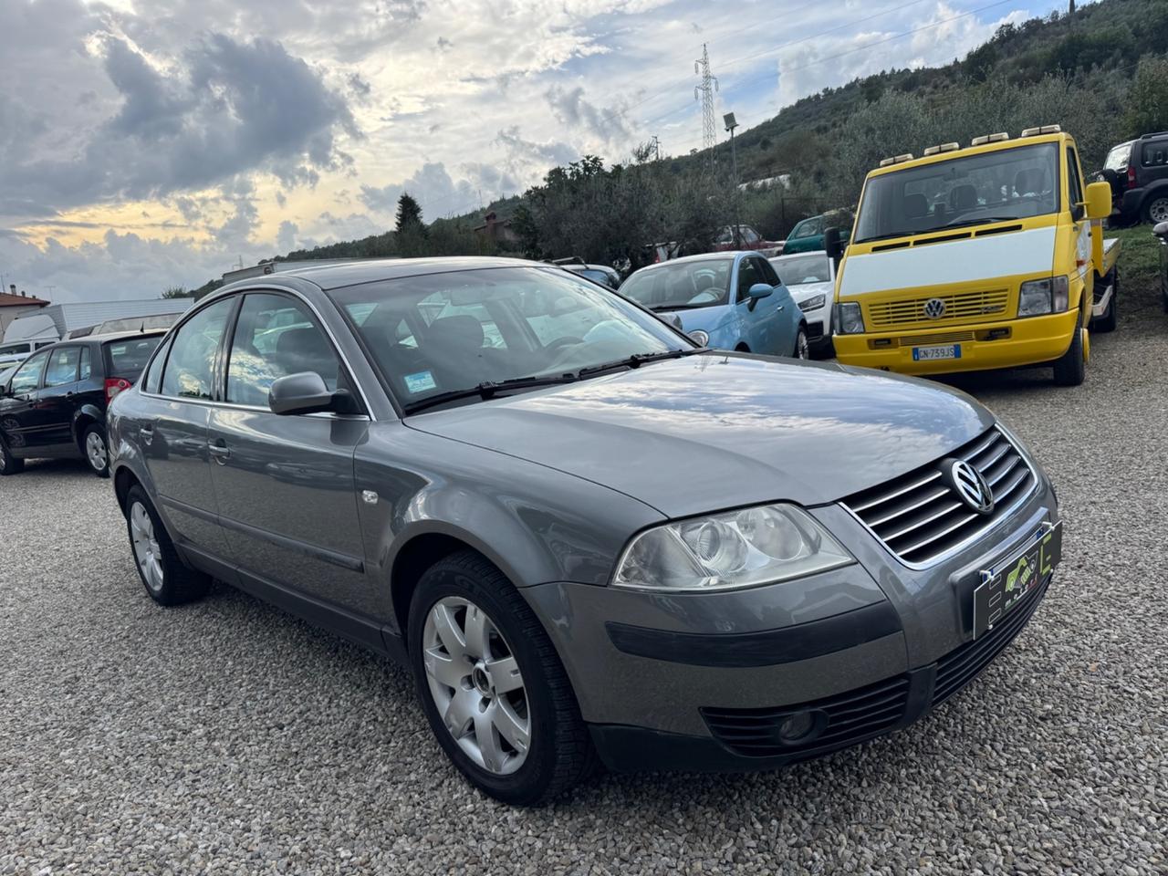 Volkswagen Passat 1.9 TDI/101 CV cat Business