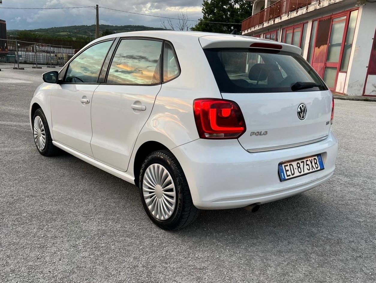 Volkswagen Polo 1.6 TDI 90CV DPF 5 porte Comfortline
