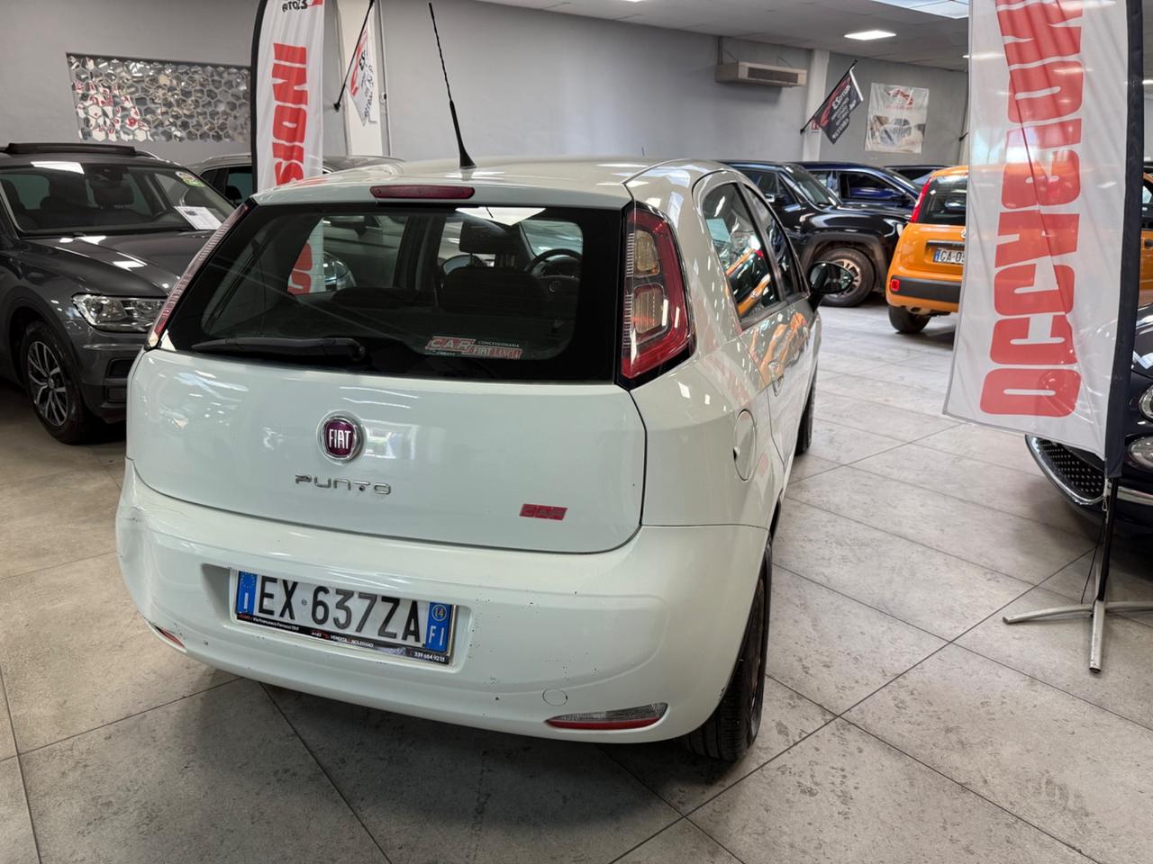 Fiat Punto 1.4 8V 5 porte Easypower Young 75CV Ok Neopatentati