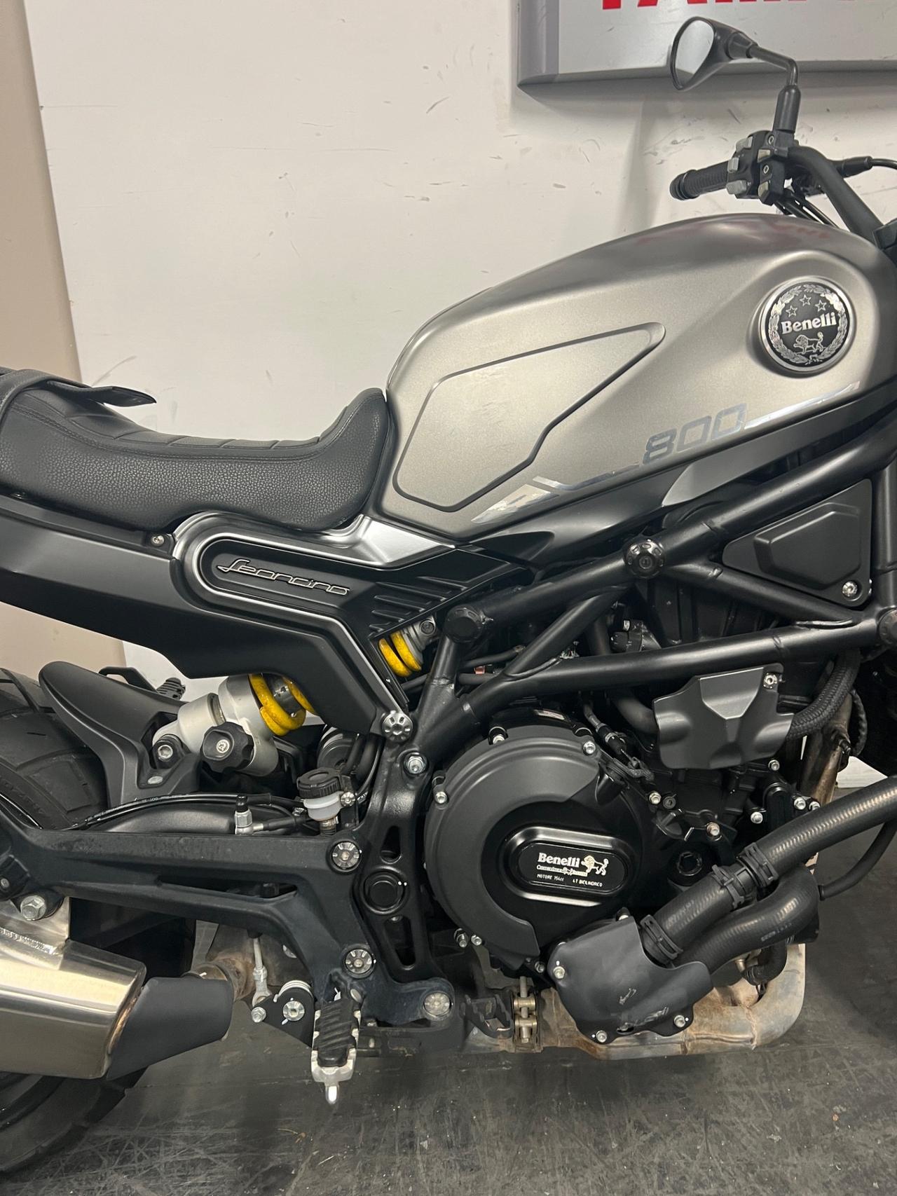 Benelli Leoncino 800