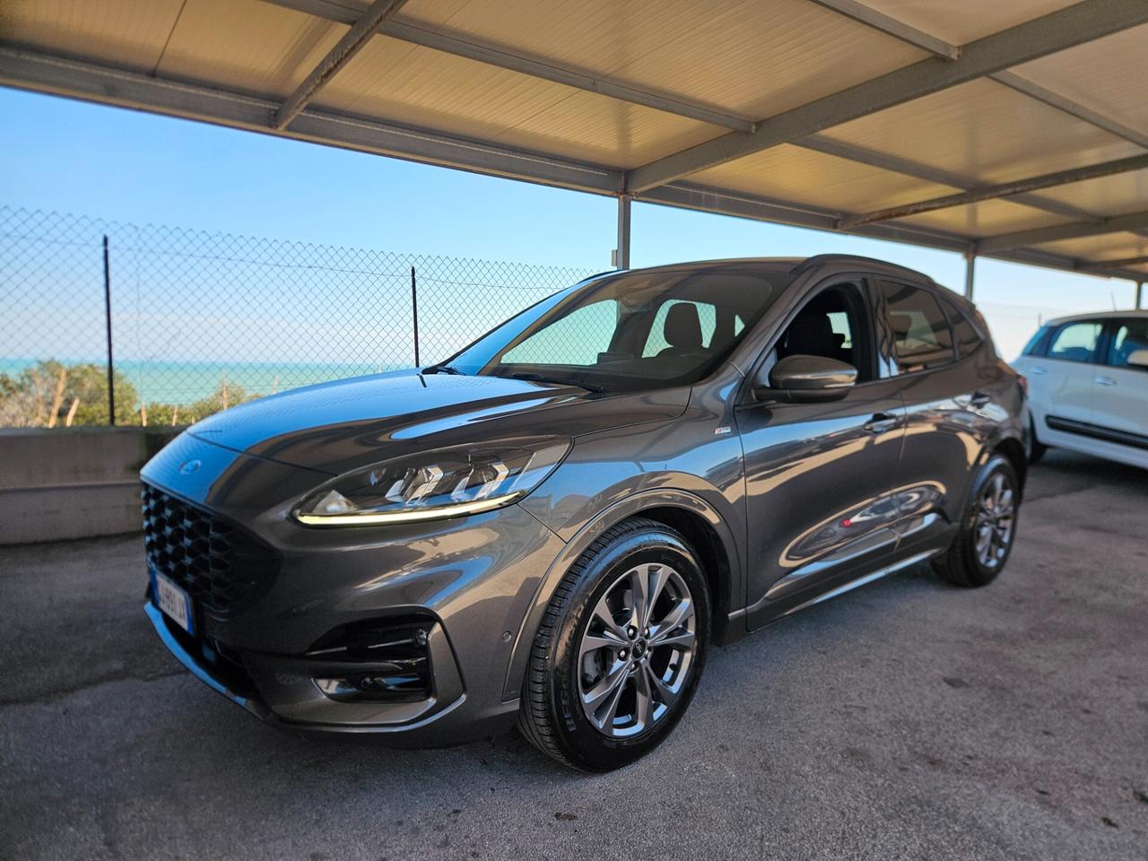 Ford Kuga 2.0 EcoBlue Hybrid 150 CV 2WD ST-Line