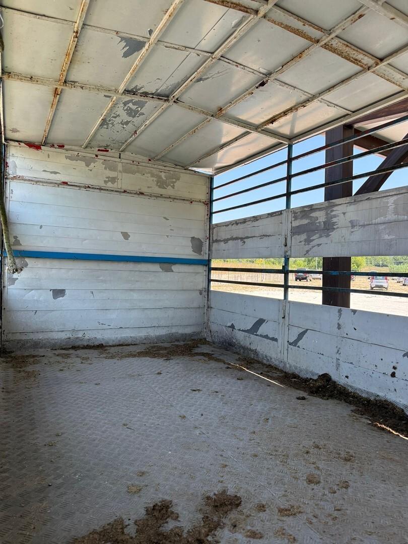 FIAT IVECO TRASPORTO ANIMALI