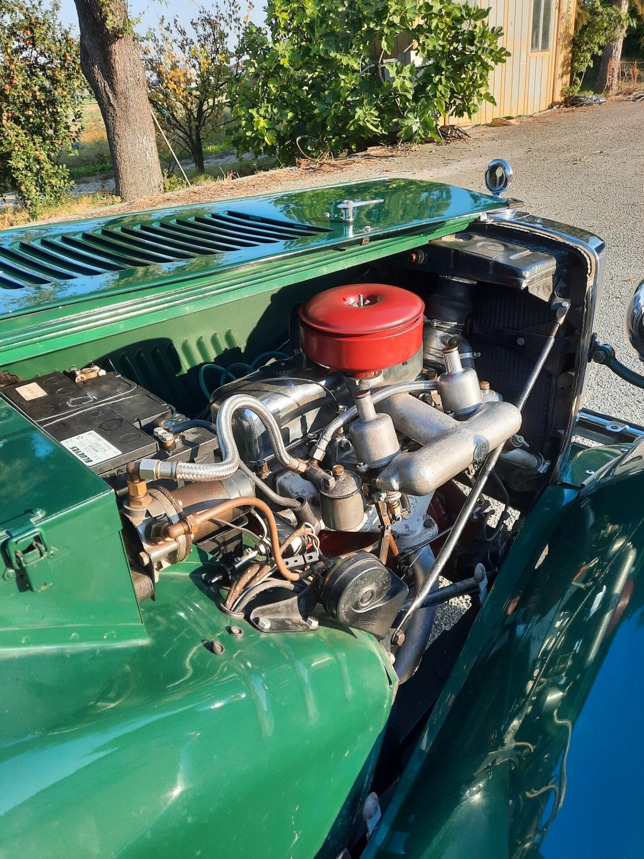 Mg TD