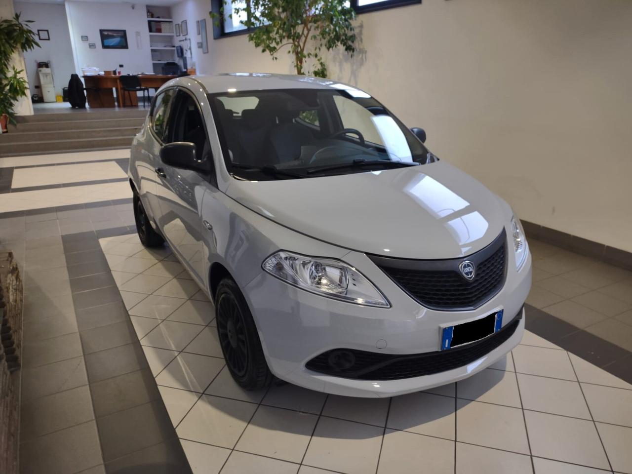 Lancia Ypsilon 1.2 69 CV 5 porte S&S Elefantino Blu