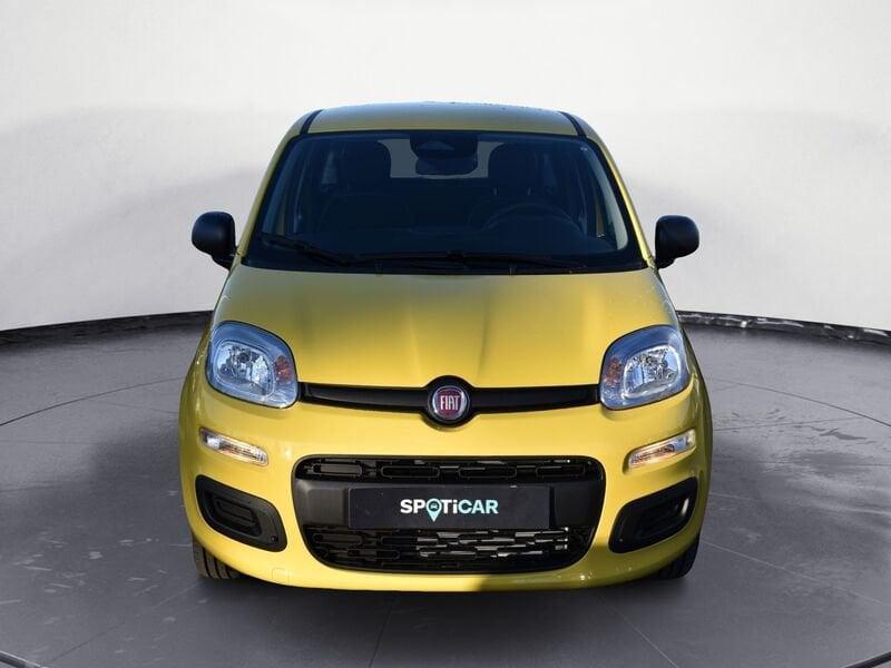 FIAT Panda Panda 1.0 FireFly S&S Hybrid Pop