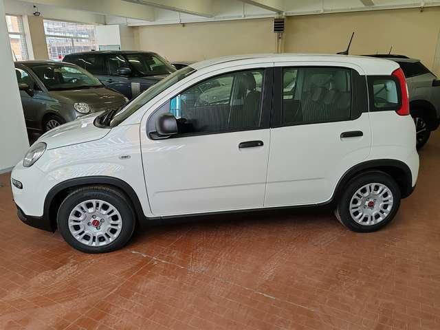 Fiat Panda 1.0 Hybrid 70cv Radio Bluetooth 36 Rate da 177,95