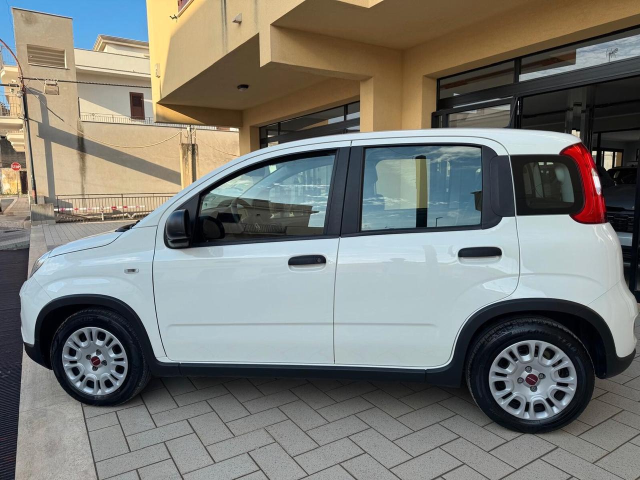Fiat Panda 1.0 FireFly S&S Hybrid Icon -2024