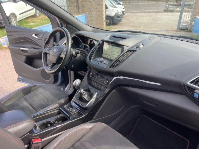 FORD Kuga 2.0 TDCI 150 CV ST-Line- tetto apribile