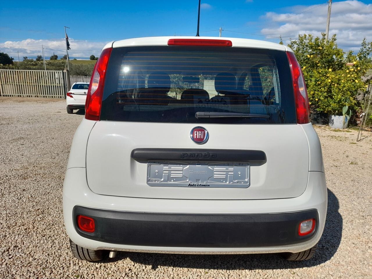 Fiat Panda 1.0FIREFLY S&S ANNO 2021 BENZINA