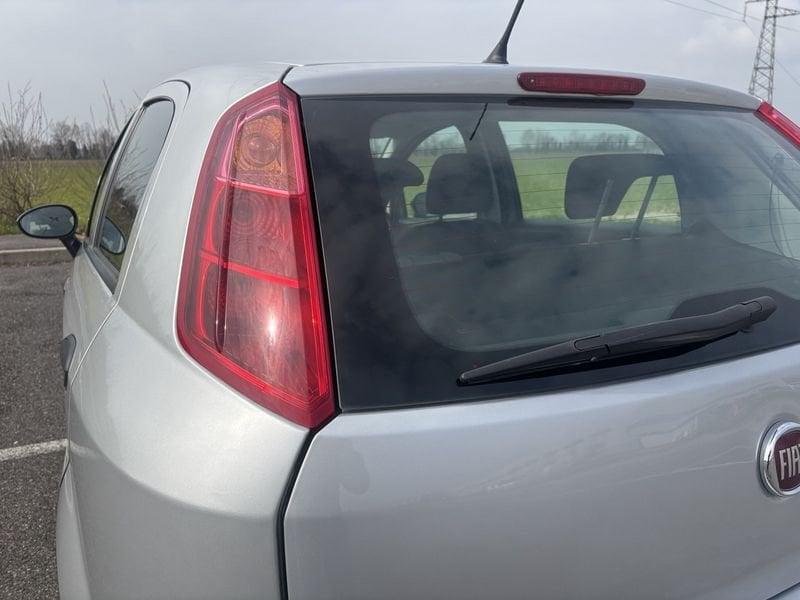 FIAT Punto NEOP. CINGHIA NUOVA 1.2 Benzina 69cv