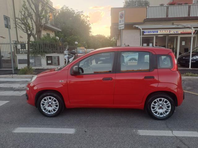FIAT Panda 1.2 GPL 69cv - UNIPRO TAGLIANDATA