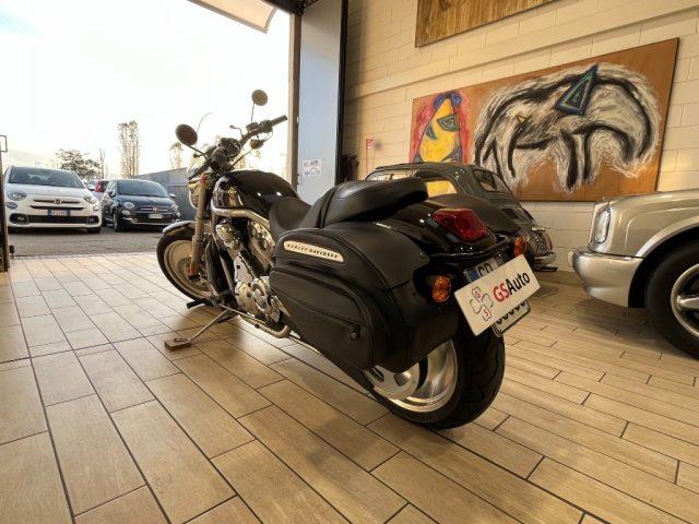 HARLEY-DAVIDSON 1130 V-ROD - VRSCA VRSCA