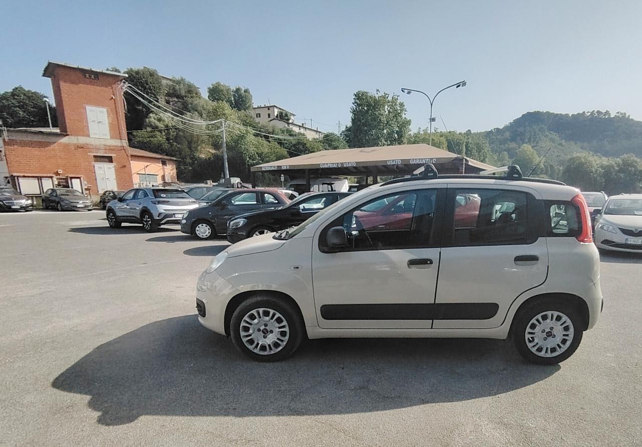 Fiat Panda 1.2 Pandazzurri - NEOPATENTATI