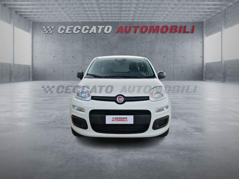FIAT Panda Panda 1.0 70cv Hybrid Pop
