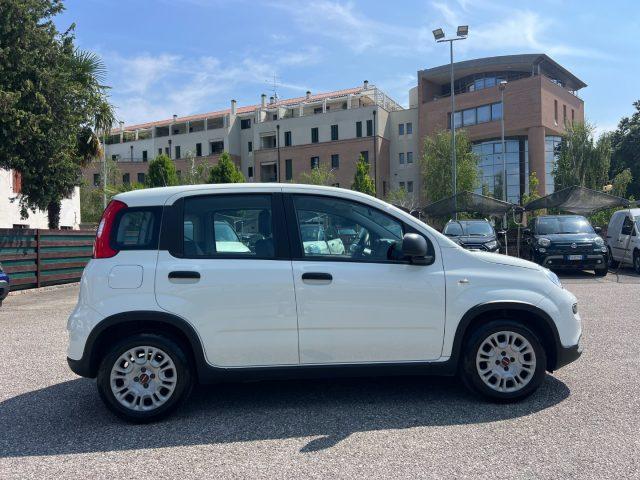FIAT Panda 1.0 FireFly S&S Hybrid 70CV UNICO PROPRIETARIO